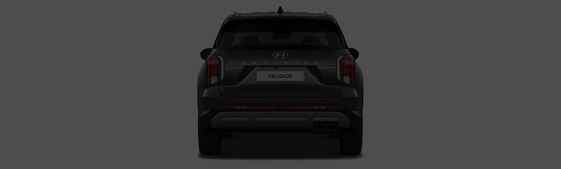 Palisade rear design